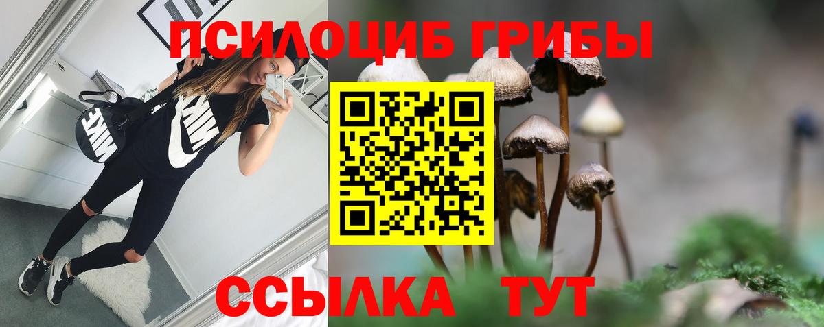 Псилоцибиновые грибы Cubensis Грязи