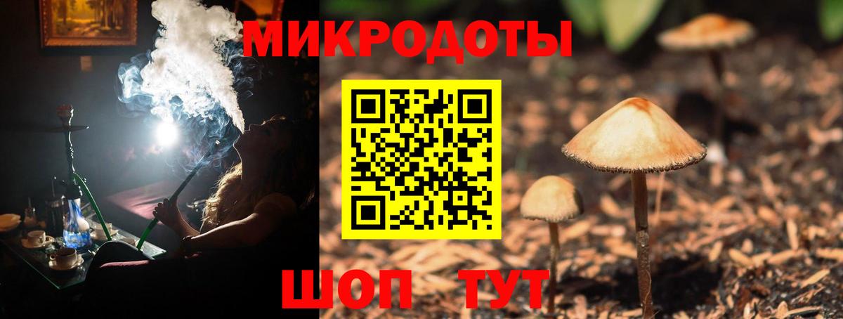 Псилоцибиновые грибы прущие грибы  Вход с VPN  Грязи  Галлюциногенные грибы Psilocybine cubensis 